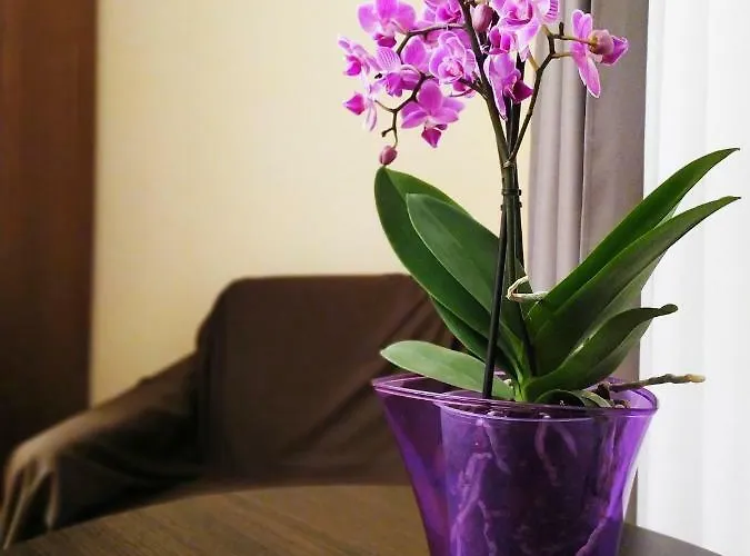 центр свободи * Lwów