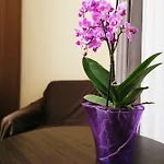 центр свободи * Львов